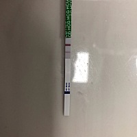 这样是怀孕了吗，还没有到大姨妈的日子。