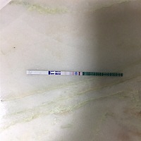 是不是因为时间短，所以我两条杠的颜色会有所不同？？（兔） 图一是昨晚10点多的时候测的，图二是今天早...