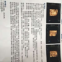 四维 能看男女吗