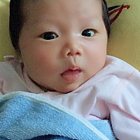 还有四天就出月子了