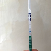 早早孕试纸 # 这样是怀了么？