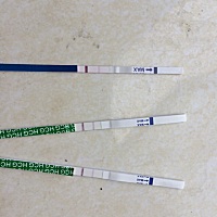 上月26号开始月经，本月1号结束，这月现在还没来，测了2天杠，是有了吗？