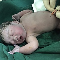 从出生到现在马上双月了