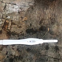 平常月经都很准，这次都推迟5天了，以为怀孕了，可测也没怀孕怎么回事？