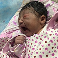 预产期7月18日，推迟了七天，7月24日住院，下午医生还找谈话，说25号就41周了，如果还没反应就要实行干...