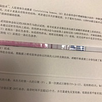 上月29号来姨妈  在备孕中，这个月26号用排卵试纸测，一条深一条浅，宝妈们这样有没有怀孕？