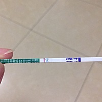 是怀孕了吗 排卵试纸阳 月经推迟两三天 我爸妈坚决不同意