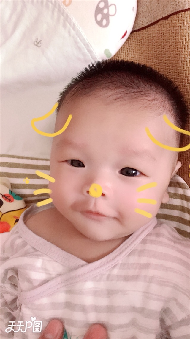 我的调皮小狗崽🐶