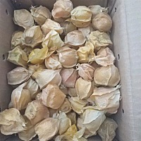 知道这是什么水果吗？