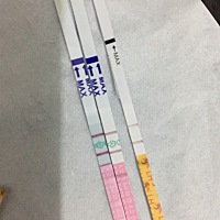 软件推测19号排卵日，期间没有测到排卵强阳，一直弱阳。前后有做功课。左1今晚测，中间昨晚测到。这个是...