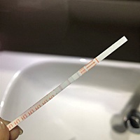 这是到排卵期了吗