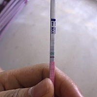 7月1号末次例假，17号左右排卵，27号就是今天怎么排卵试纸还是阳性呢？不明白，有谁知道怎么回事呢？