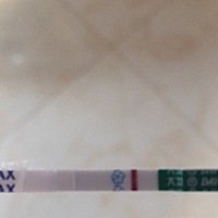 29号姨妈日，早上测了一下早孕大白板，彻底凉凉了，坐等大姨妈