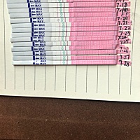 哪位好心人指点一下？这个月我是不是没希望了？