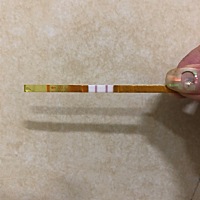 排卵试纸测出来的，这个是强阳吗？可以今早测的体温是36.1°。这样是代表受孕率高吗？？各位宝妈有经验...