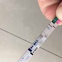 这是有了吗末次月经29号！今天是姨妈日了，昨天测者总能看到点印，今天测的大卫的没什么变化，还是不太...