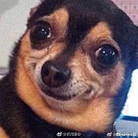 亲们，你们都是用的什么护肤品？本人皮肤比较油，感觉有的孕妇用的洗面奶太温和了，洗不干净。纠结呀……