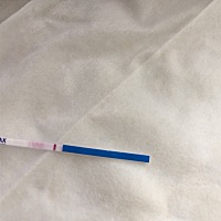 这是怀孕了吗？