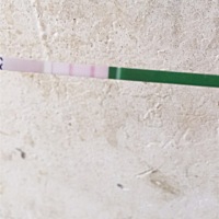 宝妈们，这个是试纸测的算不算排卵期呀？