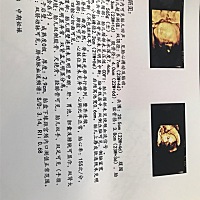 谁会看男女宝宝