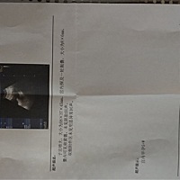 还没有胎心 正常吗