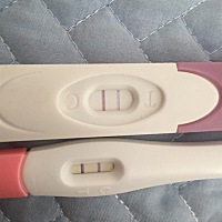 我6月29号来的姨妈，前俩天测的，是怀孕了吗？