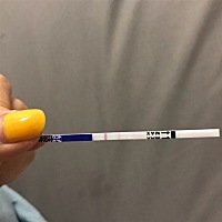 这样是怀了吗？求助