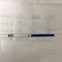 这个是真的吗……简直不敢相信，高兴到爆，希望一切顺利