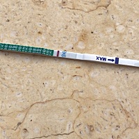 这是怀了没呢？末次7月5日 周期31 还有5就来姨妈…… 这有希望吗？ 不是意念灰吧？