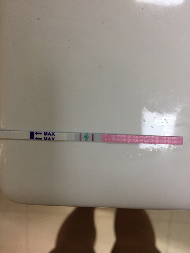 昨天上午测的排卵试纸