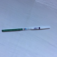 大家能看到灰印吗？