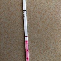 是我太期待了吗？这月例假又推迟了两天，测出来我们感觉看到大家说的意念灰😂