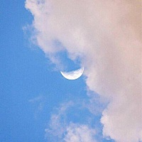 有怀孕的宝妈们 在怀孕以前梦见蛇就怀孕了的吗 昨晚上梦见了一院子的蛇 不知道这个月能不能怀上