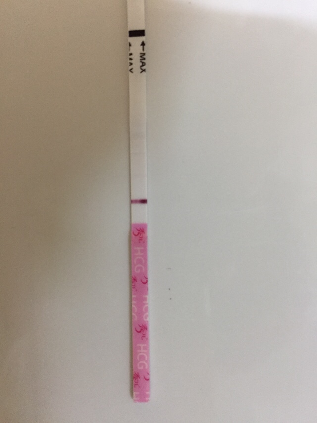 今早测的早早孕试纸