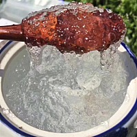 好饿啊   吃点血燕