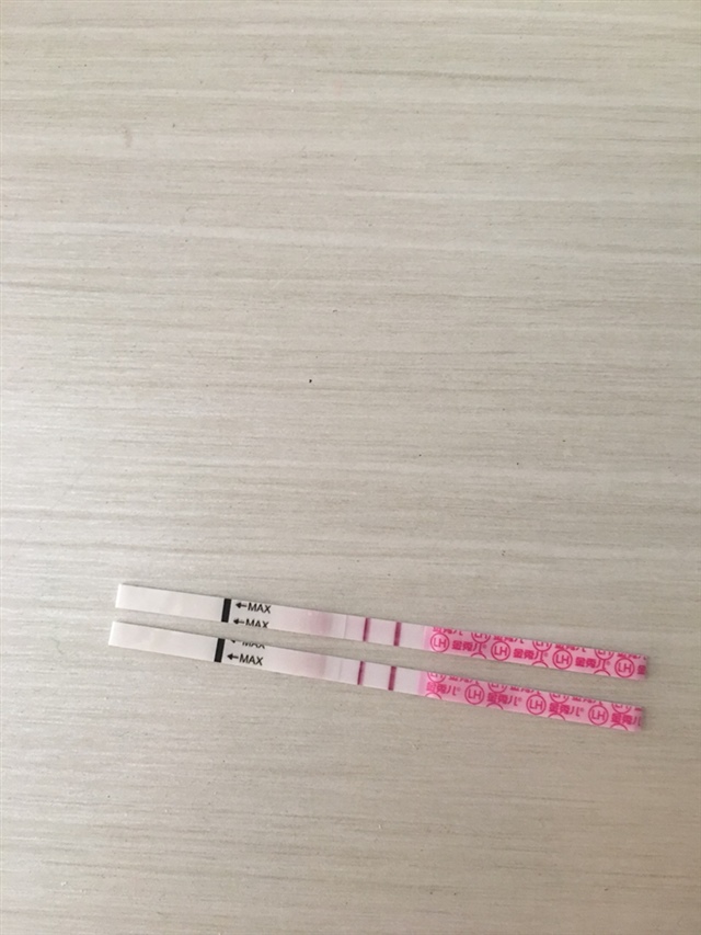 排卵检测试纸lh