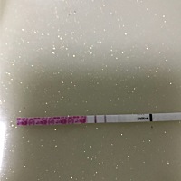 是不是在排卵了呀