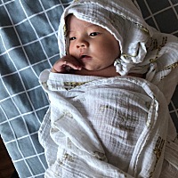 各位宝妈，我家宝宝出生55天，双胞胎，37周生，老大总是使劲打挺，两只腿抬的很高，然后他抱起来的时候...