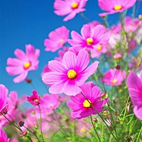 生了宝宝，你们的经济来源都从哪里出的？