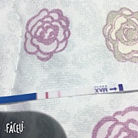 问一下大家这是怀孕了吗