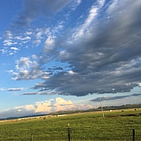这的草原风景很不错啊！哈哈 天真的很蓝