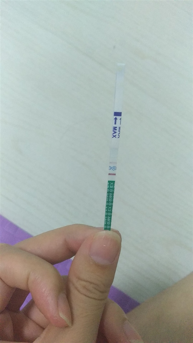 请教一下，我是怀孕了吗？