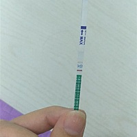 请教一下，我是怀孕了吗？