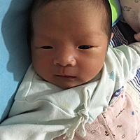 为了儿子能喝上母乳，我天天吃下奶的东西，结果奶水有了，却堵奶了，😭😭，有个大硬块，太疼了，万...