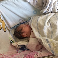 8月1号建军节 迎来了我的小少爷 5.9两