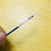 请问这是怀上了吗？