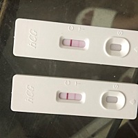 末次月经7月6日 这是怀了吗