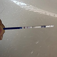 这个是有了嘛？