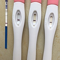 大家帮我看看是怀孕了么？有加深么？