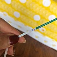 我眼都看疼了，这是怀了还是没怀